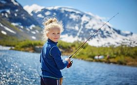 Signegarden - Midt i fjellheimen - Tett på Fjord-Norge